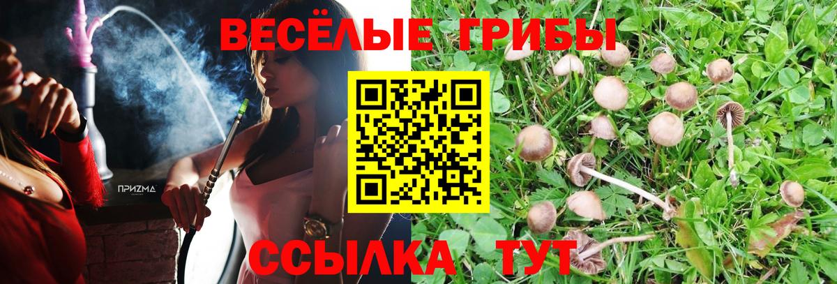 Галлюциногенные грибы Psilocybine cubensis Шали