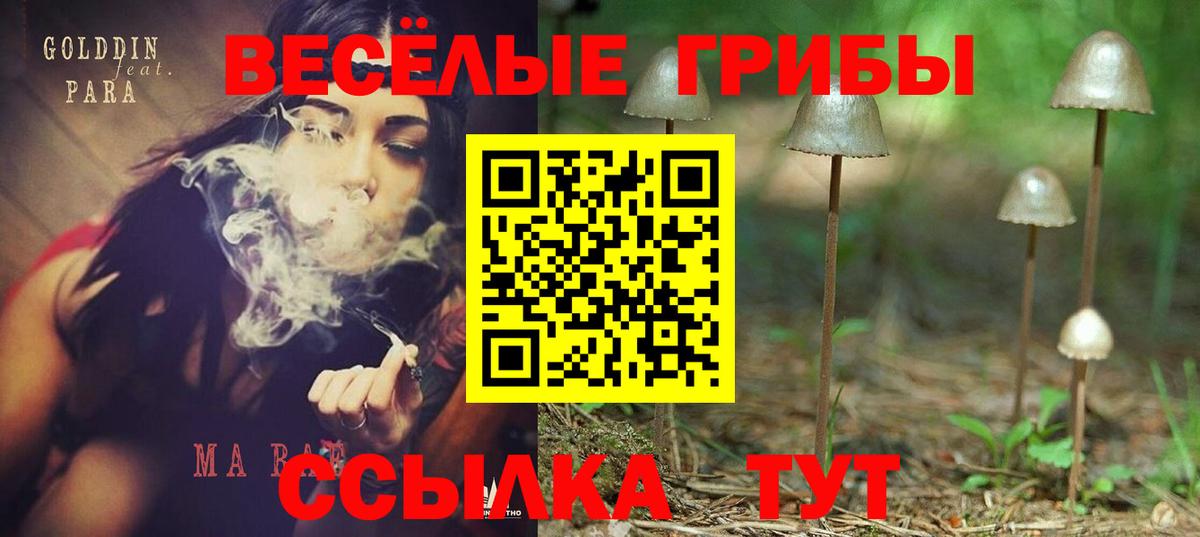 где купить наркотик  Галлюциногенные грибы мицелий  Шали  Вход с VPN  Псилоцибиновые грибы MAGIC MUSHROOMS 