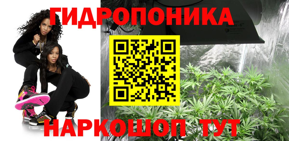 Шали  Конопля OG Kush  Марихуана SATIVA & INDICA  Вход с VPN  Каннабис планчик  Марихуана Ganja 